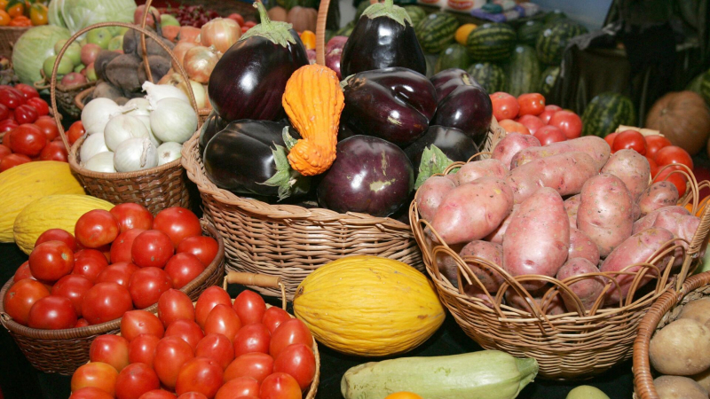 Казахстан стал лидером по производству сельхозпродукции в странах ЕАЭС