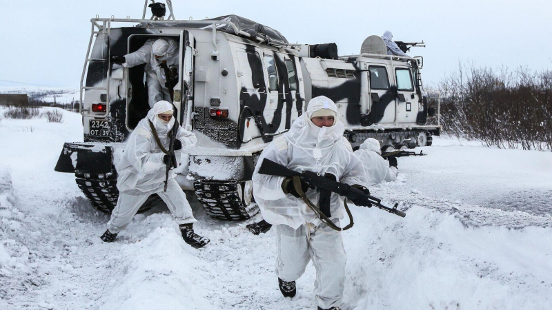 Минобороны России: 1155 человек погибшими потеряли ВСУ за сутки