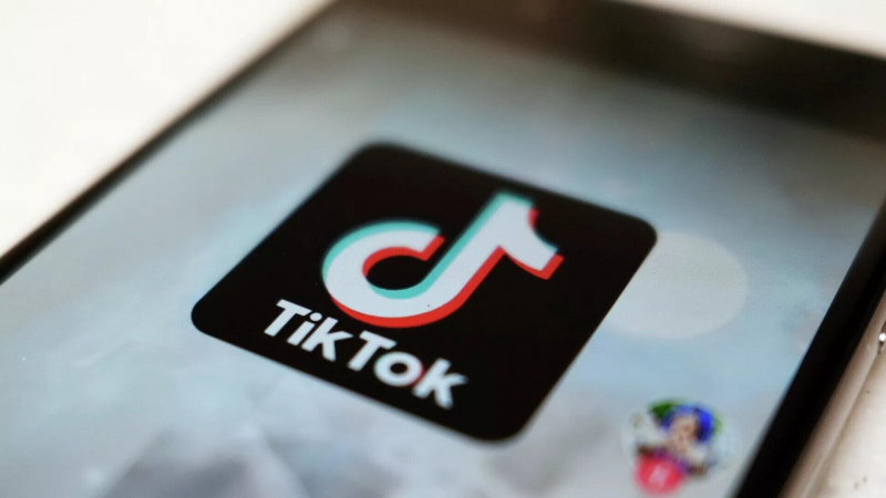 Не менее 5% дохода казахстанские компании получили через TikTok  - НПП "Атамекен"