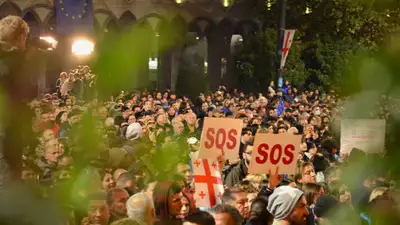 Пулемет-фейерверк и коктейли Молотова: митинг в Грузии перерос в беспорядки