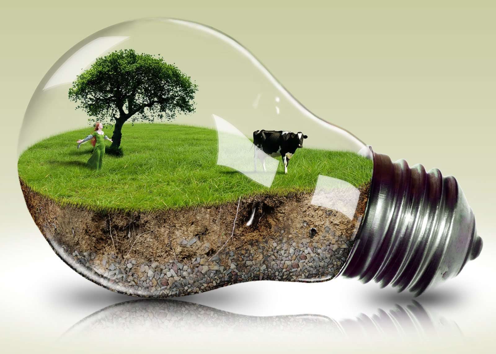 Сохранение природного потенциала. Природа в лампочке. Экономия природных ресурсов. Экология. Энергосберегающие технологии.
